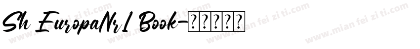 Sh EuropaNr1 Book字体转换